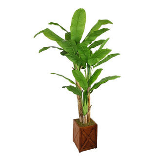 Laura Ashley 81-inch Tall Banana Tree with Real Touch Leaves in 13-inch Fiberstone Planter