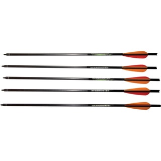 22-inch Headhunter Arrows