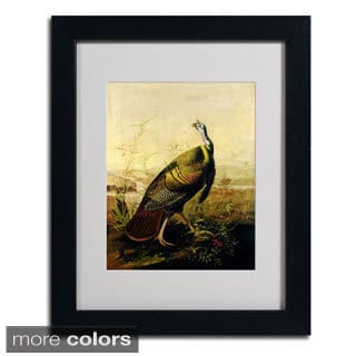 John James Audubon 'American Wild Turkey Cock' Framed Matted Art