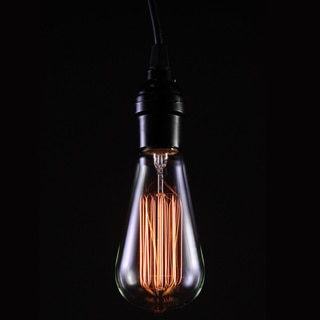 Alexandra Adjustable Height 1-light Edison Lamp with Bulb