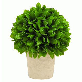 Green Potted Leaf Ball