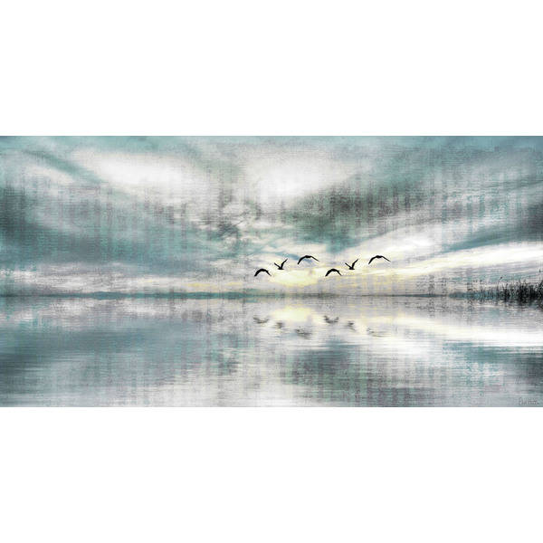 Parvez Taj 'Birds Skylight' Canvas Print