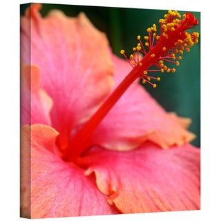 Art Wall Kathy Yates 'Tropical Beauty' Gallery-Wrapped Canvas