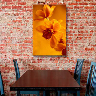 Art Wall Kathy Yates 'Golden Cymbidium Orchid' Gallery-Wrapped Canvas