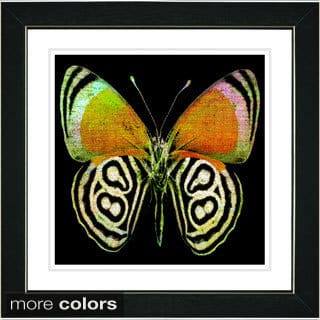 Zhee Singer 'Zebra Butterfly' Framed Fine Art Print