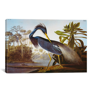 iCanvas Louisiana Heron From 'Birds of America' by John James Audubon Canvas Print Wall Art