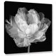 ArtWall Cora Niele 'Tulipa Double Black & White I' Gallery-Wrapped Canvasa - Thumbnail 0