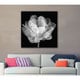 ArtWall Cora Niele 'Tulipa Double Black & White I' Gallery-Wrapped Canvasa - Thumbnail 1