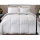 Hotel Grand Damask Stripe 800 Thread Count Cotton Rich Down Alternative Comforter - Thumbnail 4