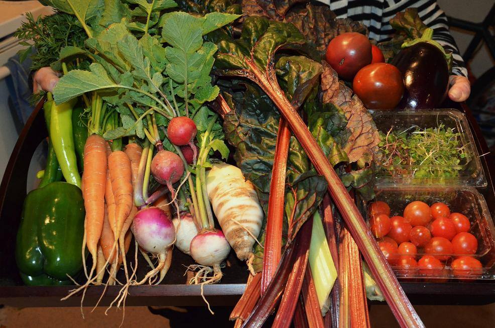 Weekly Subscription: Virginia Vegetable One-month CSA Produce Box