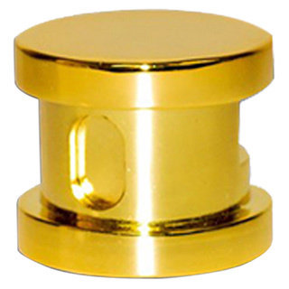SteamSpa Steamhead with Aroma Therapy Reservoir in Polished Brass