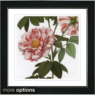 Studio Works Modern 'Vintage Botanical No 49 - White' Framed Fine Art Print