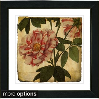Studio Works Modern 'Vintage Botanical No 49 - Antiqued' Framed Fine Art Print