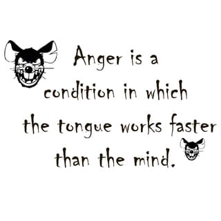 Quote About Anger Vinyl Wall Art