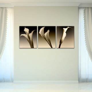 Bruce Bain '3 Lillies' Canvas Wall Art (3-piece Set)