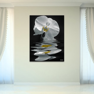 Bruce Bain 'White Orchid' Canvas Wall Art