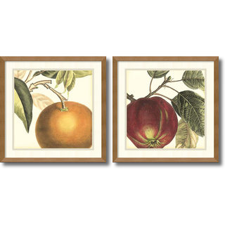 Vision Studio 'Graphic Orange & Apple- set of 2' Framed Art Print 17 x 17-inch Each