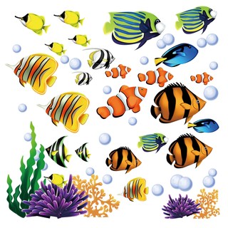 Bright Coral Reef Fish Peel & Stick Kids Room/ Nursery Wall Decal for Boys & Girls