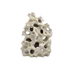 Texas Holey Rock 2x - large 20.5 quot;