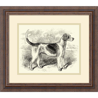 'Foxhound' Framed Art Print 16 x 14-inch