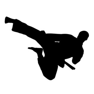Flying Kick Karate Wall Vinyl Art