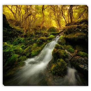 Gallery Direct Andreiuc88 'Forest River in Autumn' Gallery Wrapped Canvas Art