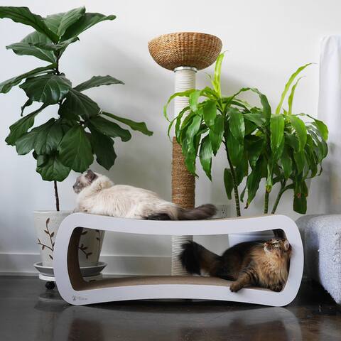 PetFusion Jumbo Cat Scratcher Lounge - White