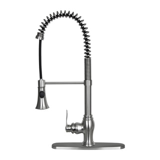 Dyconn Faucet Erie 22-inch Contemporary Brushed Nickel Flexible Swivel Kitchen Faucet