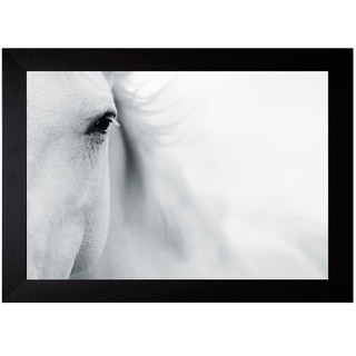 Shana Rae 'Caballo Blanco II' Framed Art