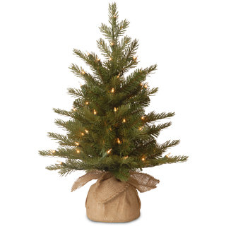 "Feel Real" Nordic Spruce Small Tree