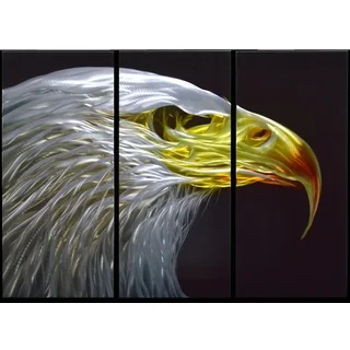 Eagle Eye' Large 3-panel Handmade Metal Wall Art