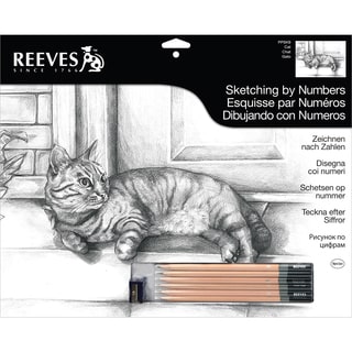 Sketching By Number Kit 12"X16"-Cat
