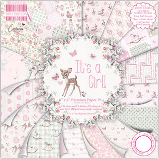 First Edition Premium Paper Pad 6"X6" 64/Pkg-It's A Girl