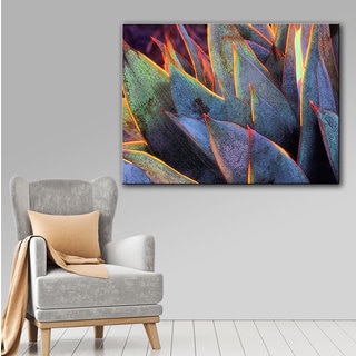 Dean Uhlinger 'Sun Succulent' Gallery-wrapped Canvas