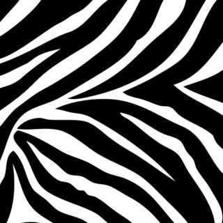 Wall Pops Go Wild Zebra Blox Decals (Pack of 12)