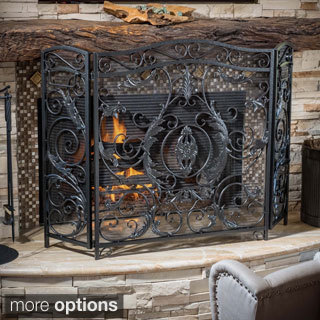 Waterbury Fireplace Screen by Christopher Knight Home