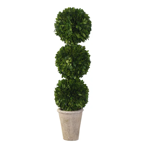 Sage & Co 3-ball English Boxwood Topiary