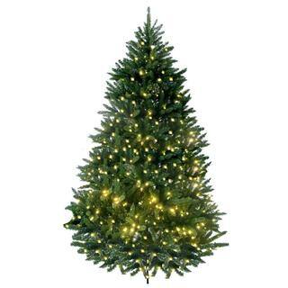 8-foot Prelit Artificial Lakewood Fir Tree with 750 LED Warm Lights and Metal Stand