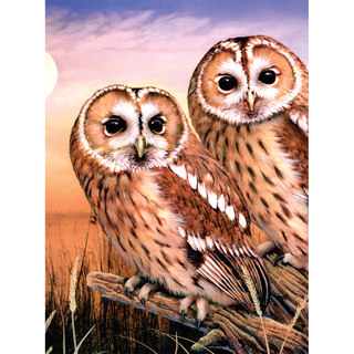 Junior Small Paint By Number Kit 8.75"X11.75"-Tawny Owls