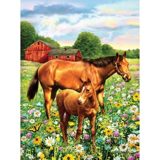 Junior Small Paint By Number Kit 8.75"X11.75"-Horse In Field