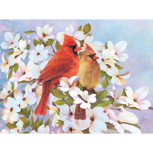 Color Pencil By Number Kit 8.75"X11.75"-Cardinals
