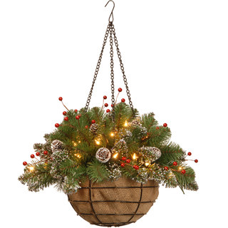 20-inch Glittery Mountain Spruce Hanging Basket with Red Berries