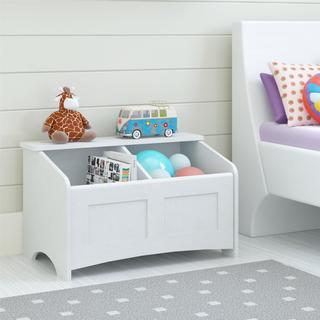 Ameriwood Home Federal 29.5-inch White Toy Chest