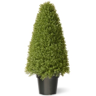 36-inch Boxwood Tree with Green Pot