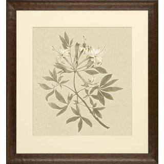 Blooms on Crackled Cream Small Leaf Framed Art Print