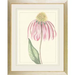 Pink Botanical Softness Framed Art Print