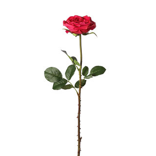 Open Garden 26-inch Rose Stem (Pack of 12)