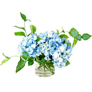 Creative Displays Blue Hydrangea in Glass Pot with Acrylic Water