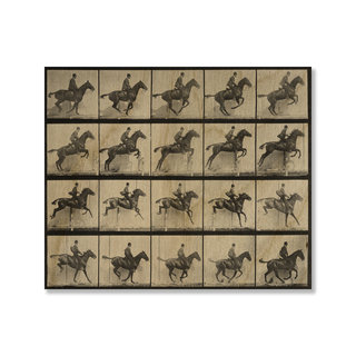 Gallery Direct Eadweard Muybridge's 'Man and Horse Jumping a Fence' Print on Wood