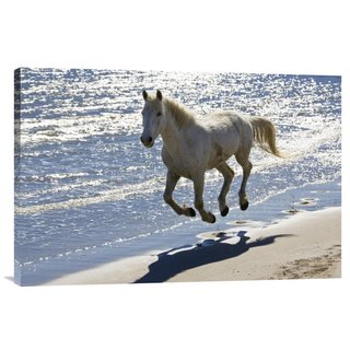Global Gallery Konrad Wothe 'Camargue Horse running on the beach, Camargue, France' Stretched Canvas